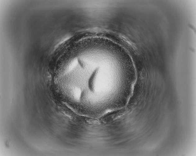 X0000093491302200710261109