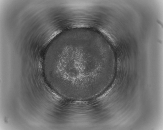 X0000093491305200710261109