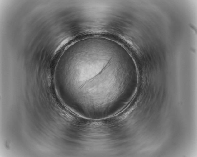 X0000093491306200710261109