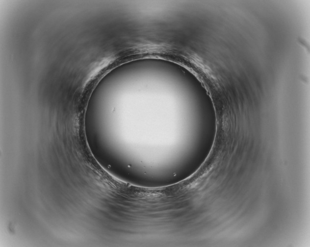 X0000093491309200710261109