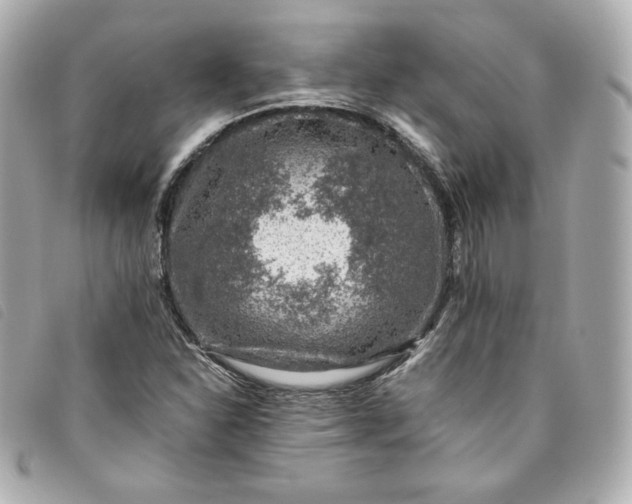 X0000093491310200710261109