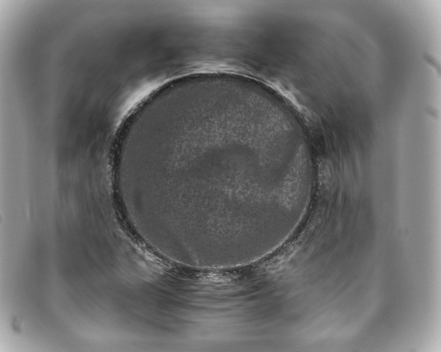 X0000093491311200710261109