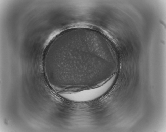 X0000093491312200710261109