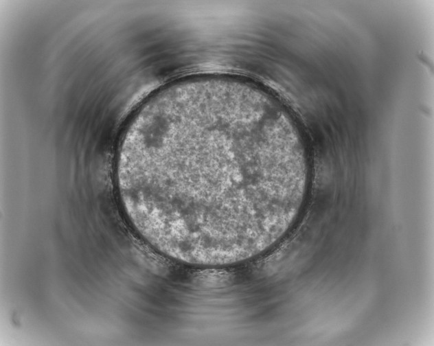 X0000093491314200710261109