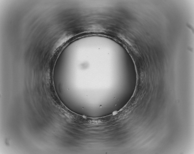 X0000093491315200710261109