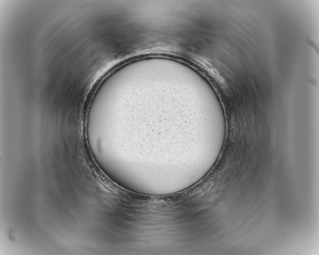 X0000093491316200710261109