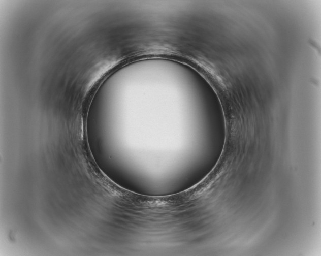 X0000093491317200710261109