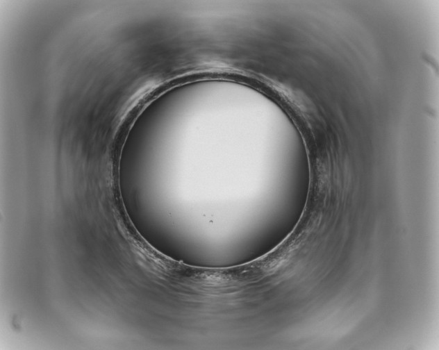 X0000093491318200710261109