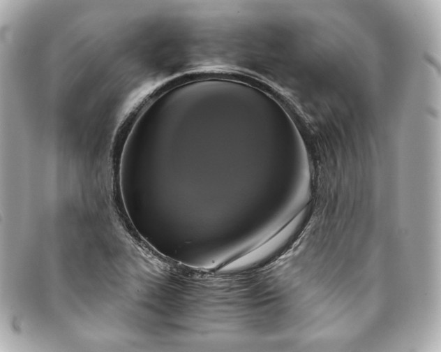 X0000093491319200710261109