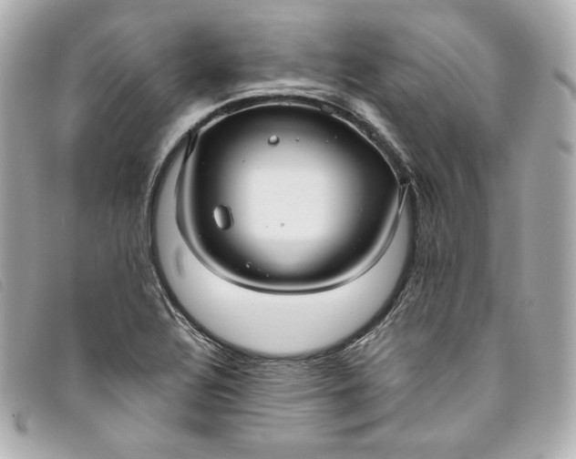 X0000093491320200710261109