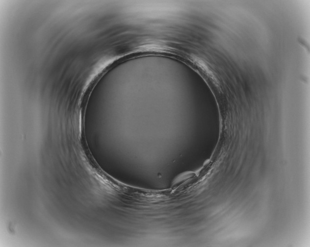 X0000093491323200710261110