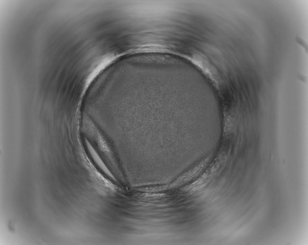 X0000093491325200710261110