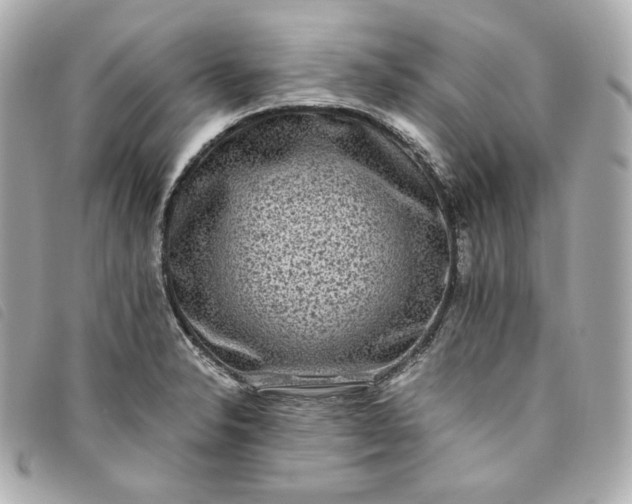 X0000093491326200710261110