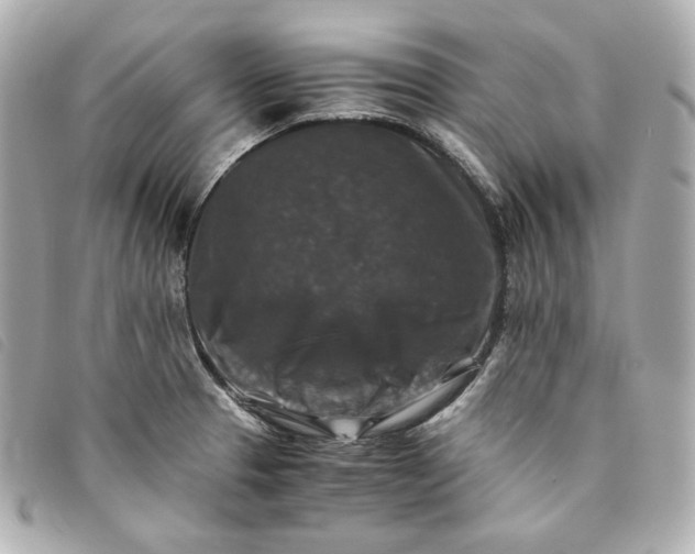 X0000093491329200710261110