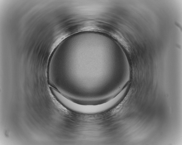 X0000093491330200710261110