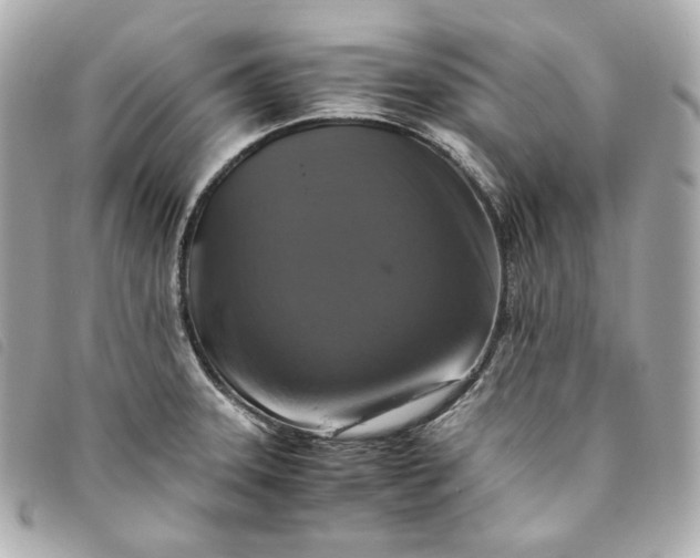 X0000093491331200710261110