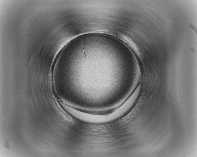 X0000093491332200710261110