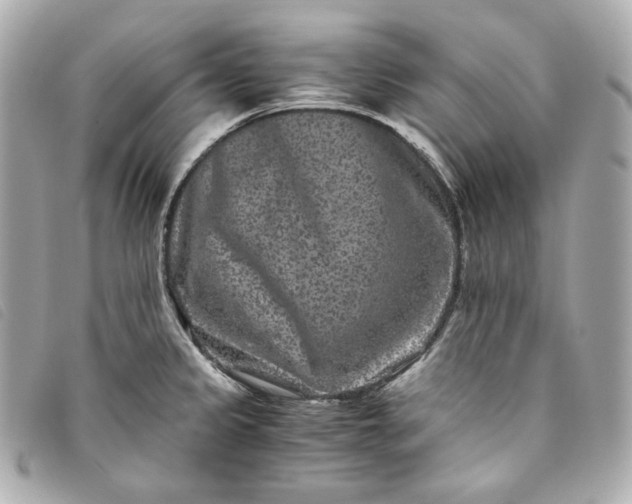 X0000093491333200710261110