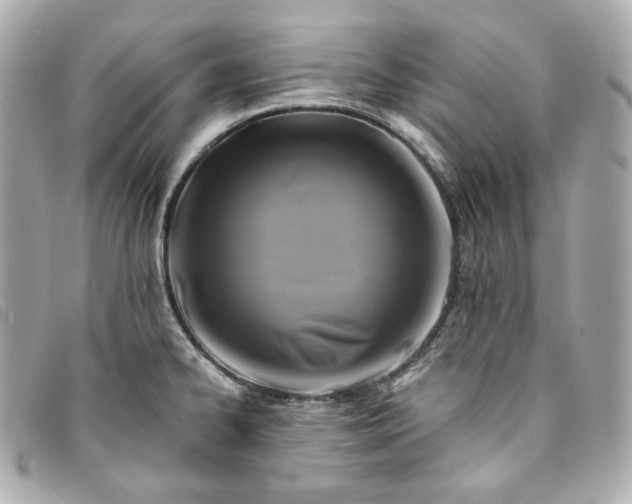 X0000093491334200710261110