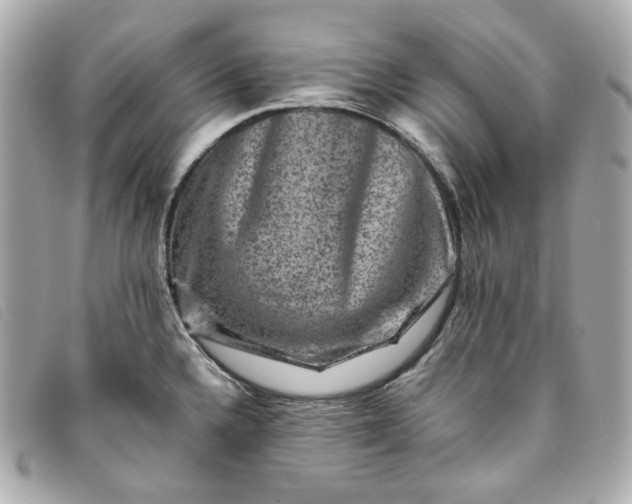 X0000093491336200710261110