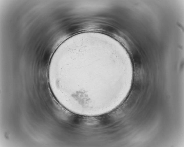 X0000093491338200710261110