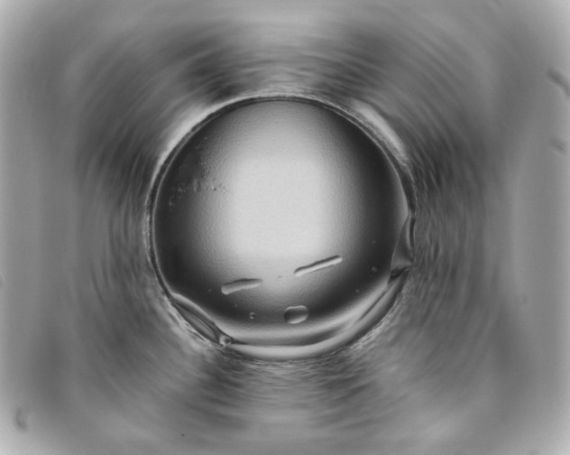 X0000093491340200710261110