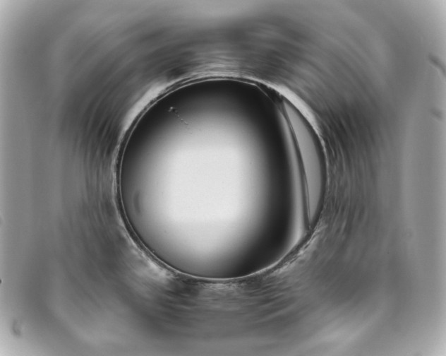 X0000093491341200710261110