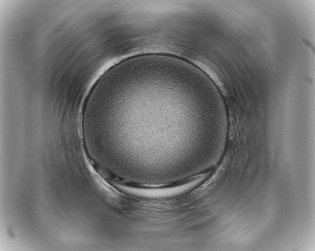 X0000093491342200710261110