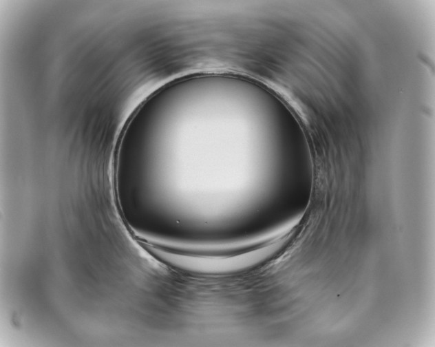 X0000093491343200710261110