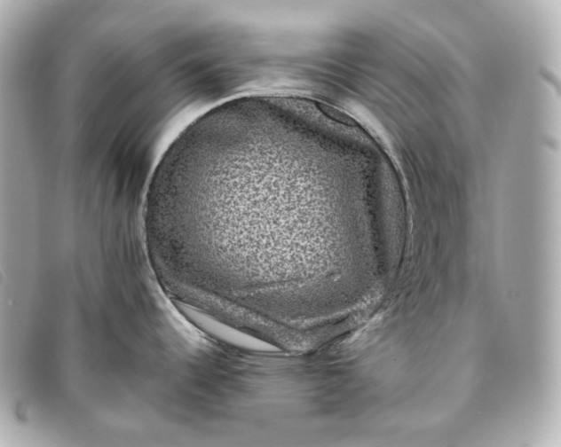 X0000093491344200710261110