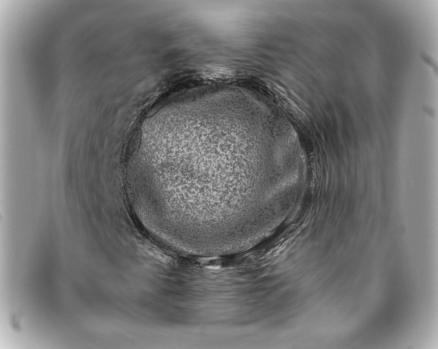 X0000093491345200710261109