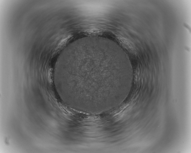 X0000093491346200710261109