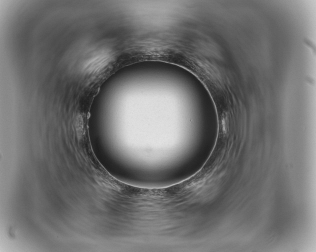 X0000093491347200710261109