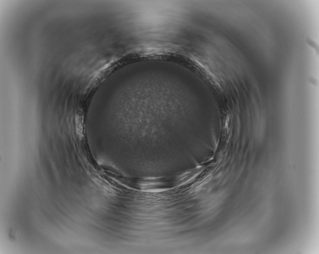 X0000093491348200710261109