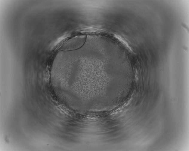 X0000093491350200710261109