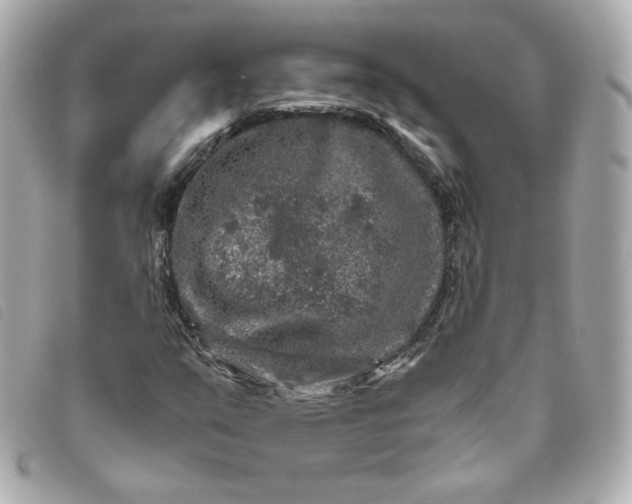 X0000093491351200710261109