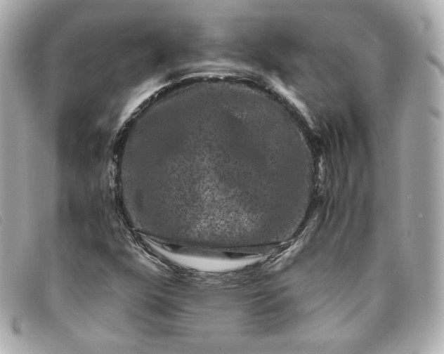 X0000093491352200710261109