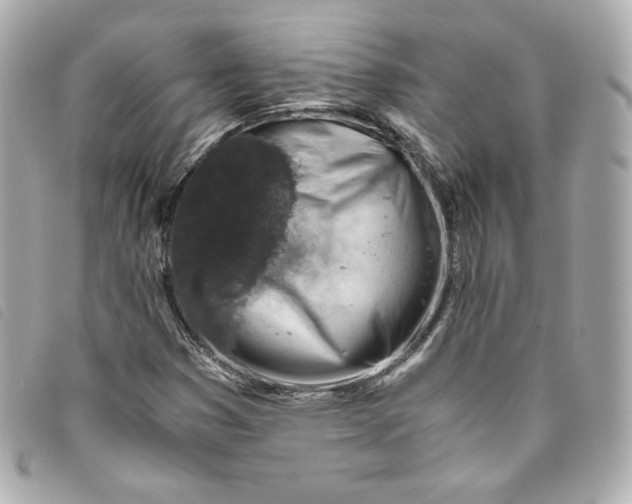 X0000093491353200710261109