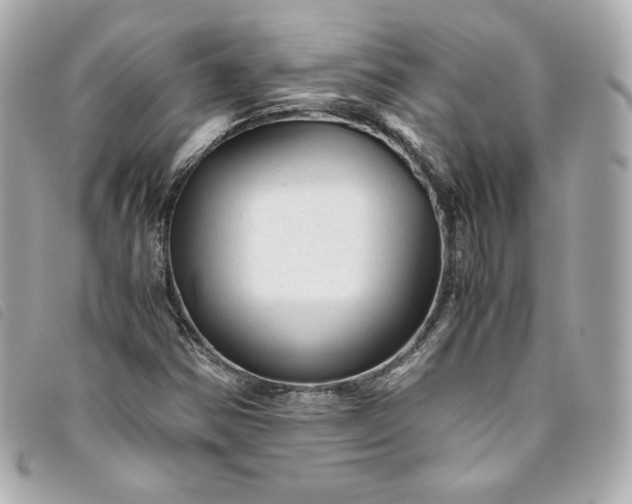 X0000093491354200710261109