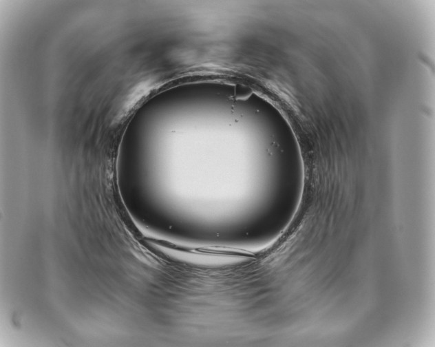 X0000093491355200710261109