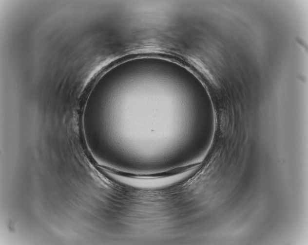 X0000093491356200710261109