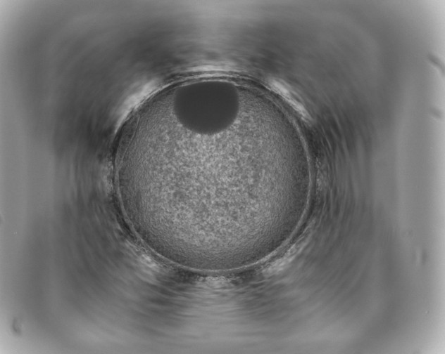 X0000093491357200710261109