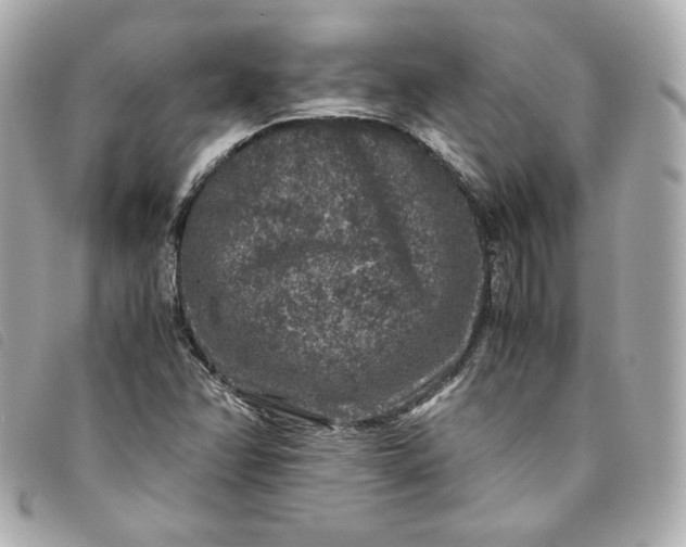 X0000093491358200710261109