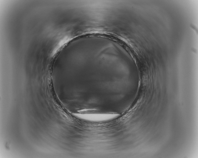 X0000093491359200710261109