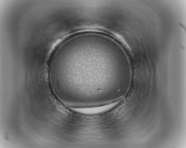 X0000093491360200710261109