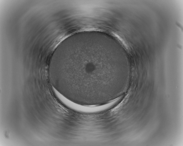 X0000093491361200710261109