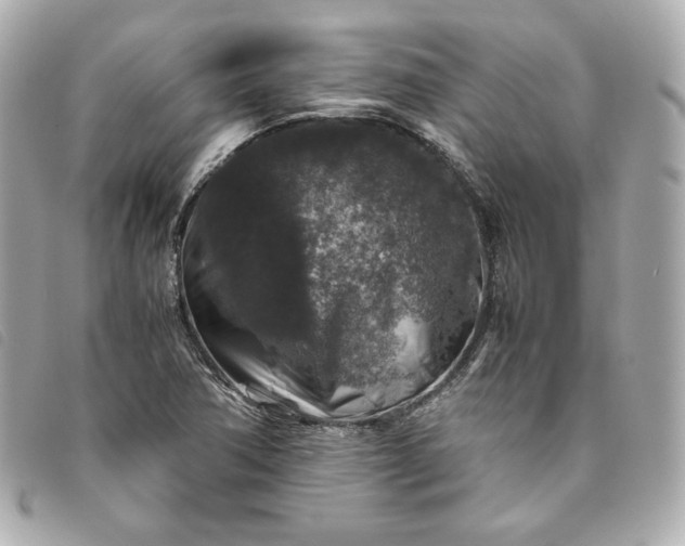 X0000093491362200710261109