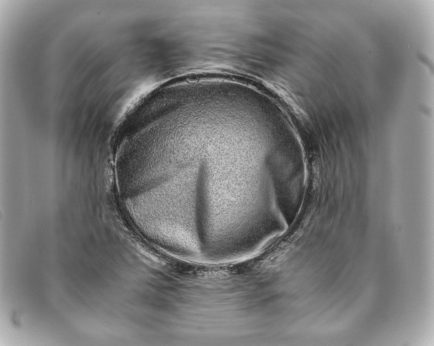 X0000093491363200710261109