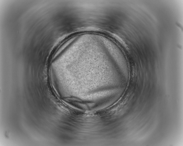 X0000093491364200710261109