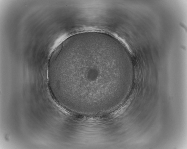 X0000093491365200710261109